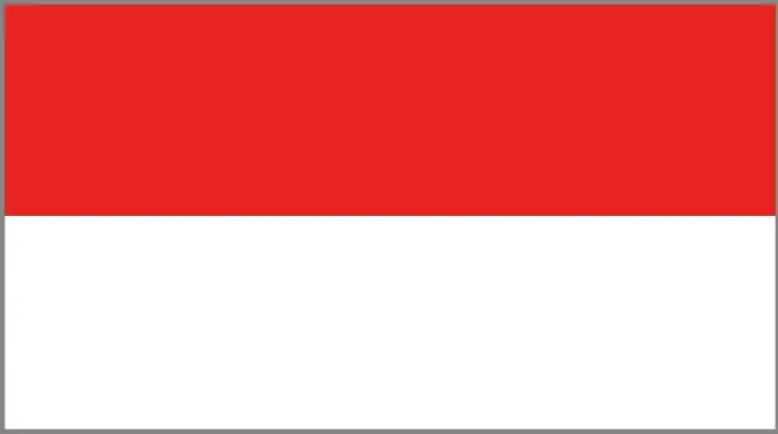 Flag of Indonesia: red upper half and white lower half.